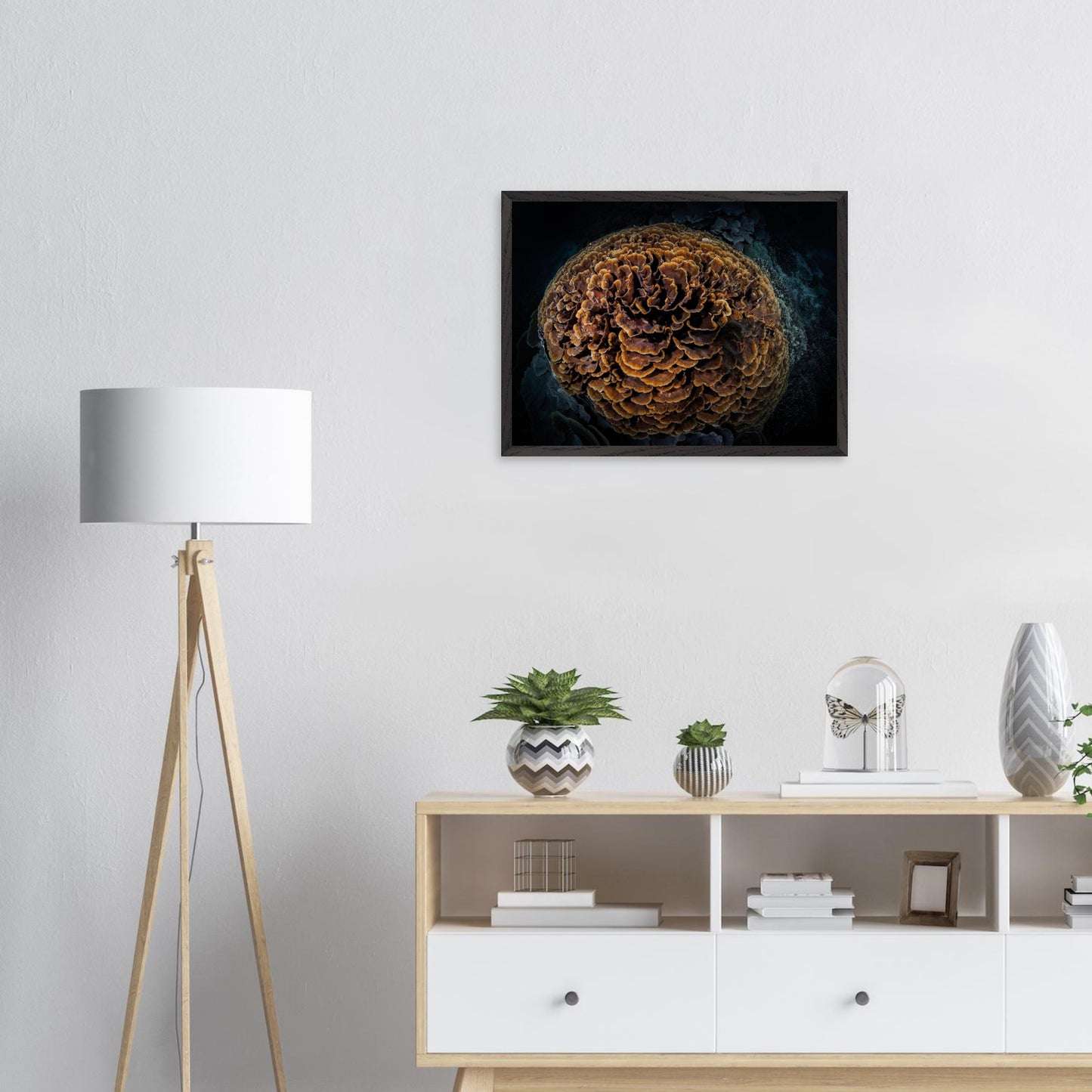 b0f51288-fb64-419b-8a92-c5072f2813ff