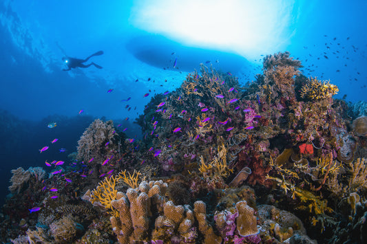 Cathedral Light Over Coral Kingdom - Digital Download/Art Prints