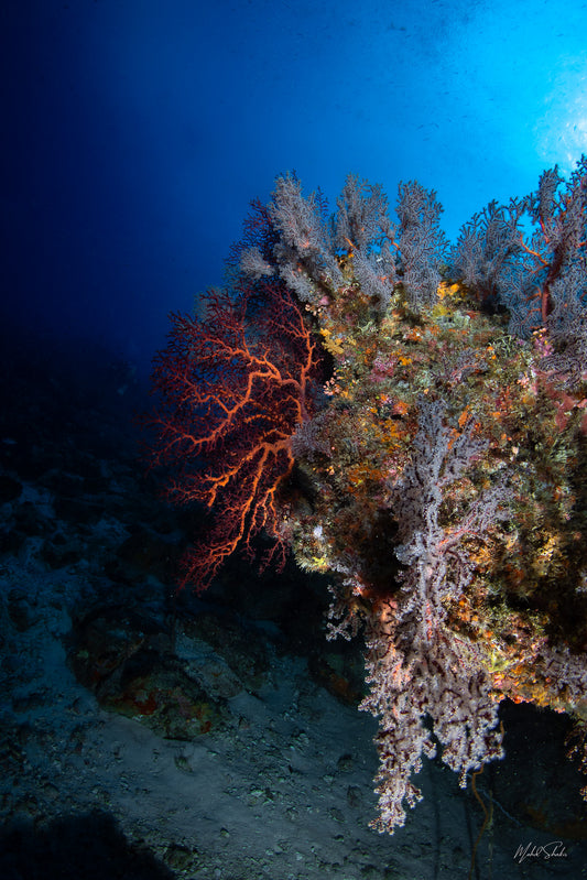 Mystery of the depth-Tenggol-MS.UW