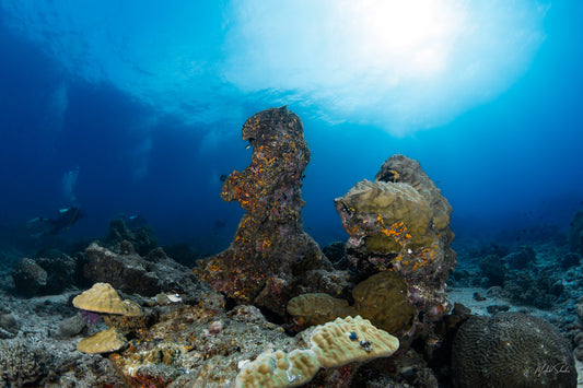 The Statue - Tenggol Island - MS.UW