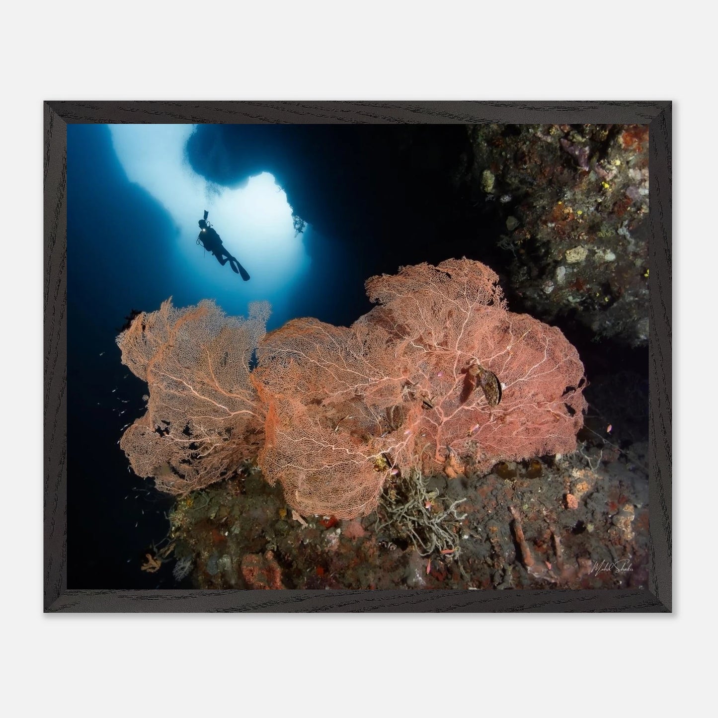 bbc2a582-c749-4fcb-a8fb-9fa7b0c7da46