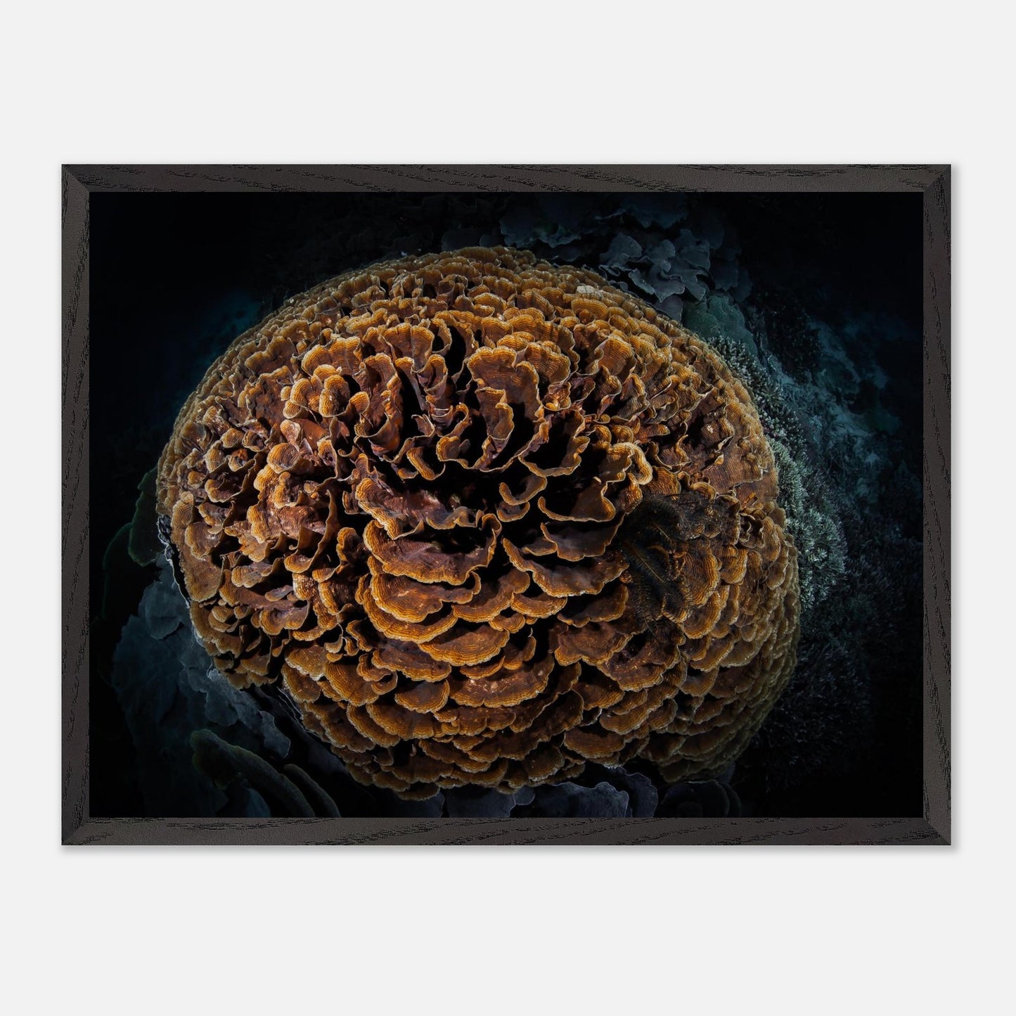 ce4a03a0-f2ba-4006-a339-f068d986d922